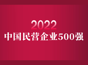祝贺我协会9家会员单位及母公司荣膺2022中国民营企业500强